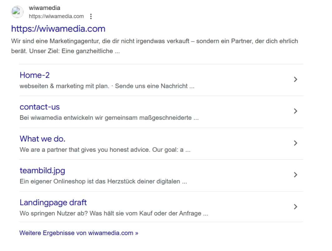 Suchergebnis (SERP) vor SEO