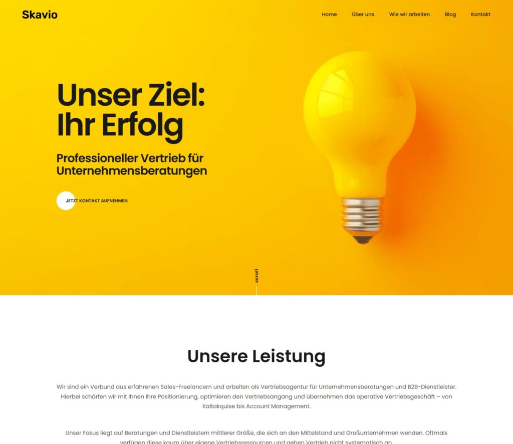 Startseite der Webseite von Skavio: Unser Ziel, Ihr Erfolg